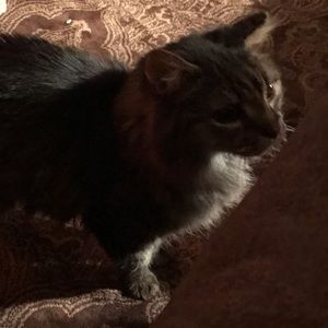 Meet your Posher, Linda